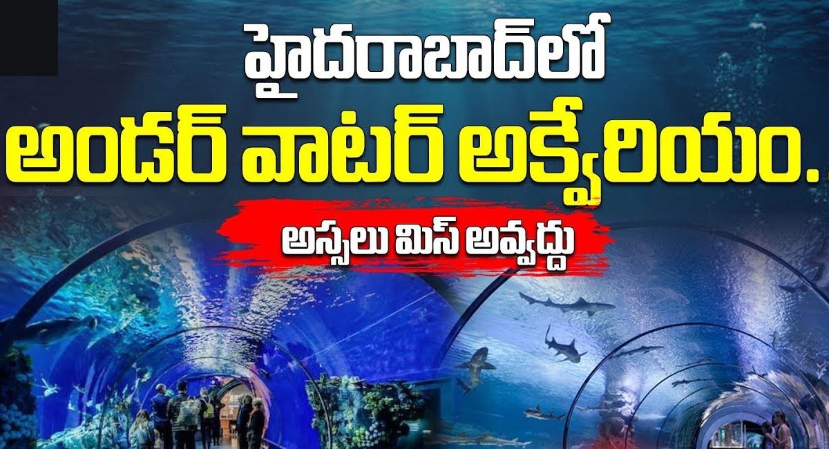 Hyderabad :  హైదరాబాద్ నడిబొడ్డున అండర్ వాటర్ ఎగ్జిబిషన్..ఎంట్రీ ఫీజు ఎంతో తెలుసా…చాలా చీప్..