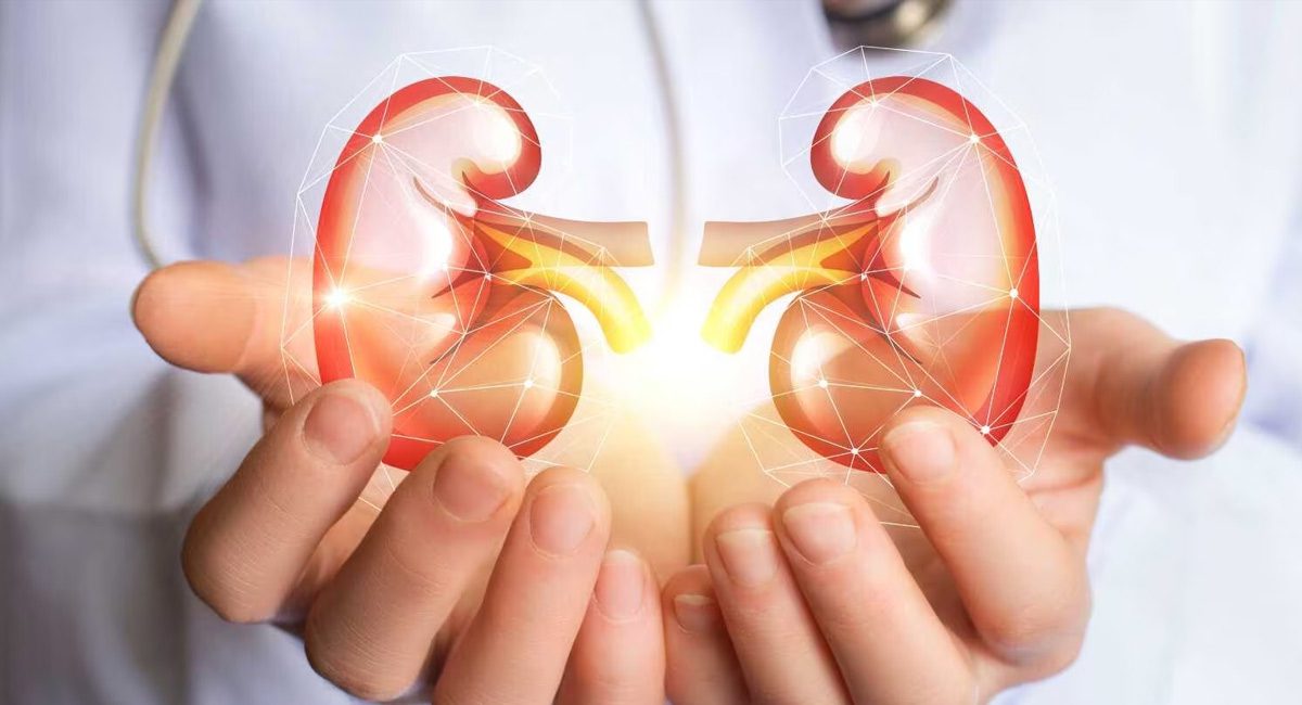 Kidney care : కిడ్నీల పై ఈ జాగ్రత్తలు తీసుకోకపోతే ఇక అంతే…