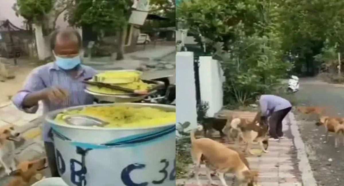 Viral Video :మూగజీవుల పాలిట దేవుడు…రూపాయి కూడా ఆశించకుండా 11 ఏళ్లుగా ఇదే పని…..