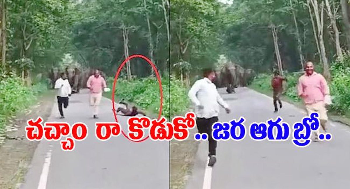 Viral News : ముగ్గురు వ్యక్తుల ఆకతాయి చేష్టలు…ఆగ్రహించిన ఏనుగులు ఏం చేసాయో చూడండి…