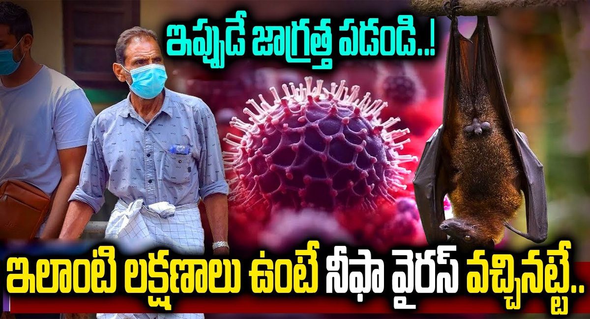 Nipah Virus – Symptoms : ఈ లక్షణాలు ఉంటే నిఫ్ఫా వైరస్ వచ్చినట్లే…