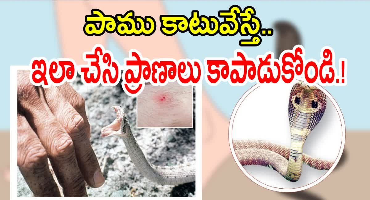 Snake Bite : పాము కాటుకు గురైనప్పుడు మొదట చేయాల్సిన పని ఏంటో తెలుసా…