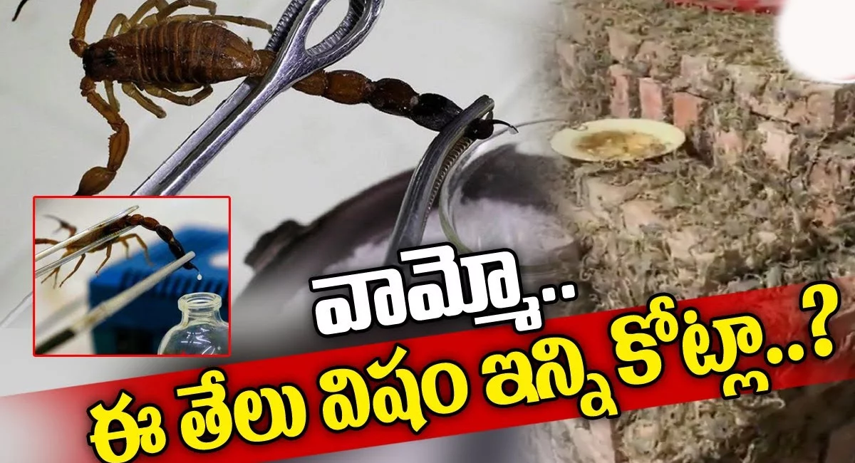 scorpion business : ఇది తెలుసా…తేలు విషంతో కోట్లలో ఆదాయం..అదిరిపోయే బిజినెస్ ఐడియా…