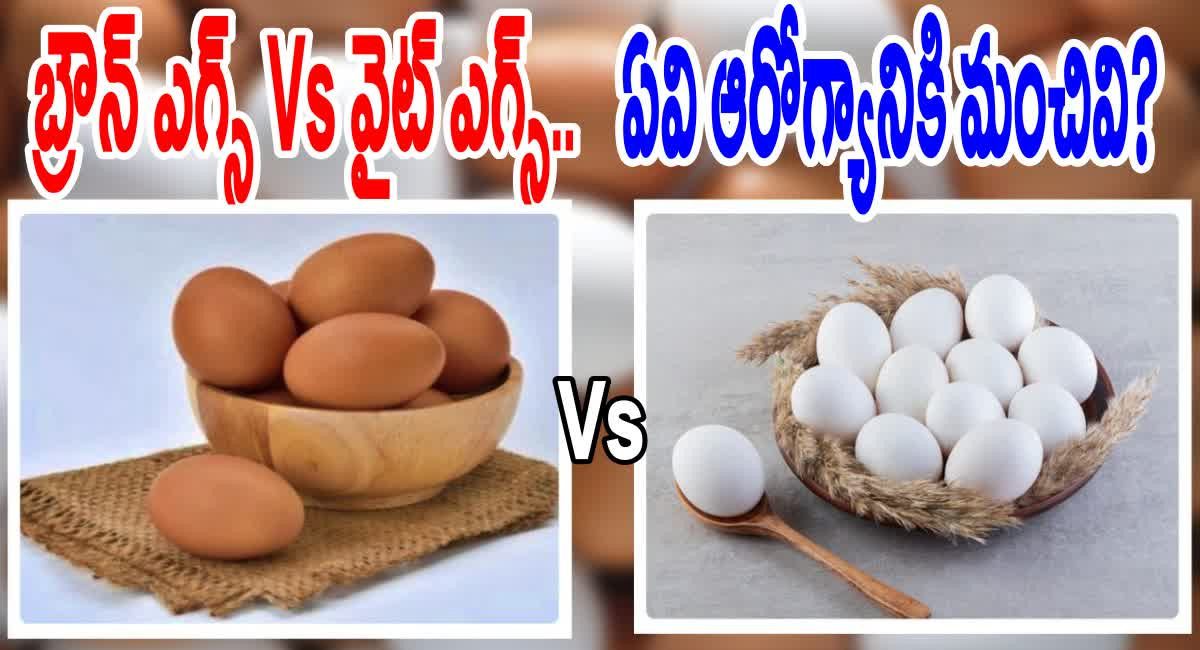 White Eggs Vs Brown Eggs : ఆరోగ్యానికి వైట్ ఎగ్స్ మంచిదా..?బ్రౌన్ ఎగ్స్ మంచిదా…?నిపుణులు ఏం చెబుతున్నారంటే…