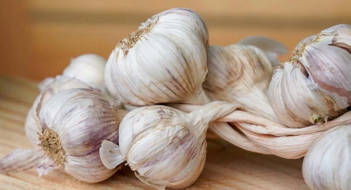 Garlic Disadvantages : ఈ సమస్యలు ఉన్నవారు వెల్లుల్లి అసలు తినకూడదు…